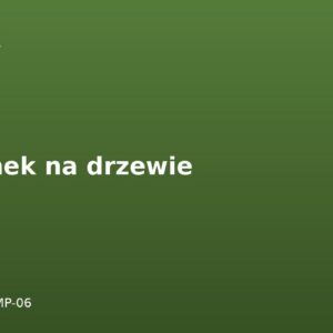 Domek na drzewie